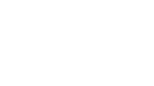 Art of Racing Logo
