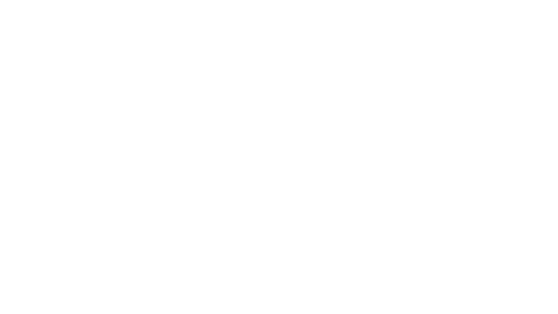 Art of Racing Logo